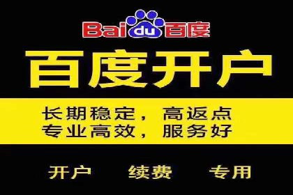 百度推广服务费案例：实现精准营销策略